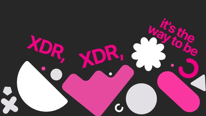 Managed XDR Extended Detection & Response